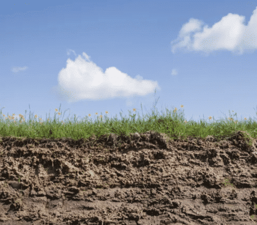 Screen Shot 2020-11-23 at 2.35.24 PM.png